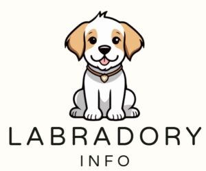 LABRADORY
