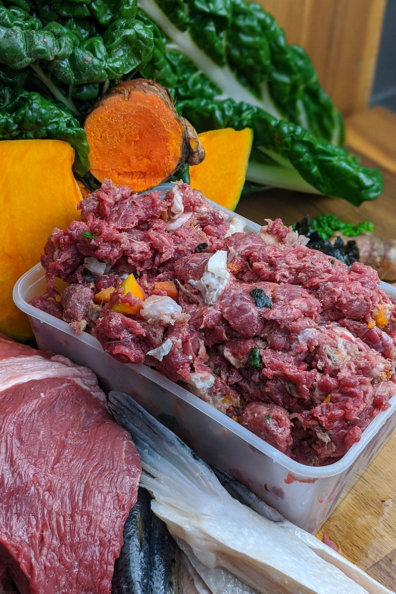 Surowe mięso w diecie labradora wspiera naturalne trawienie i wzmacnia mięśnie