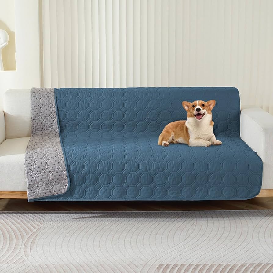 narzuta chroni fotel przed psią sierścią