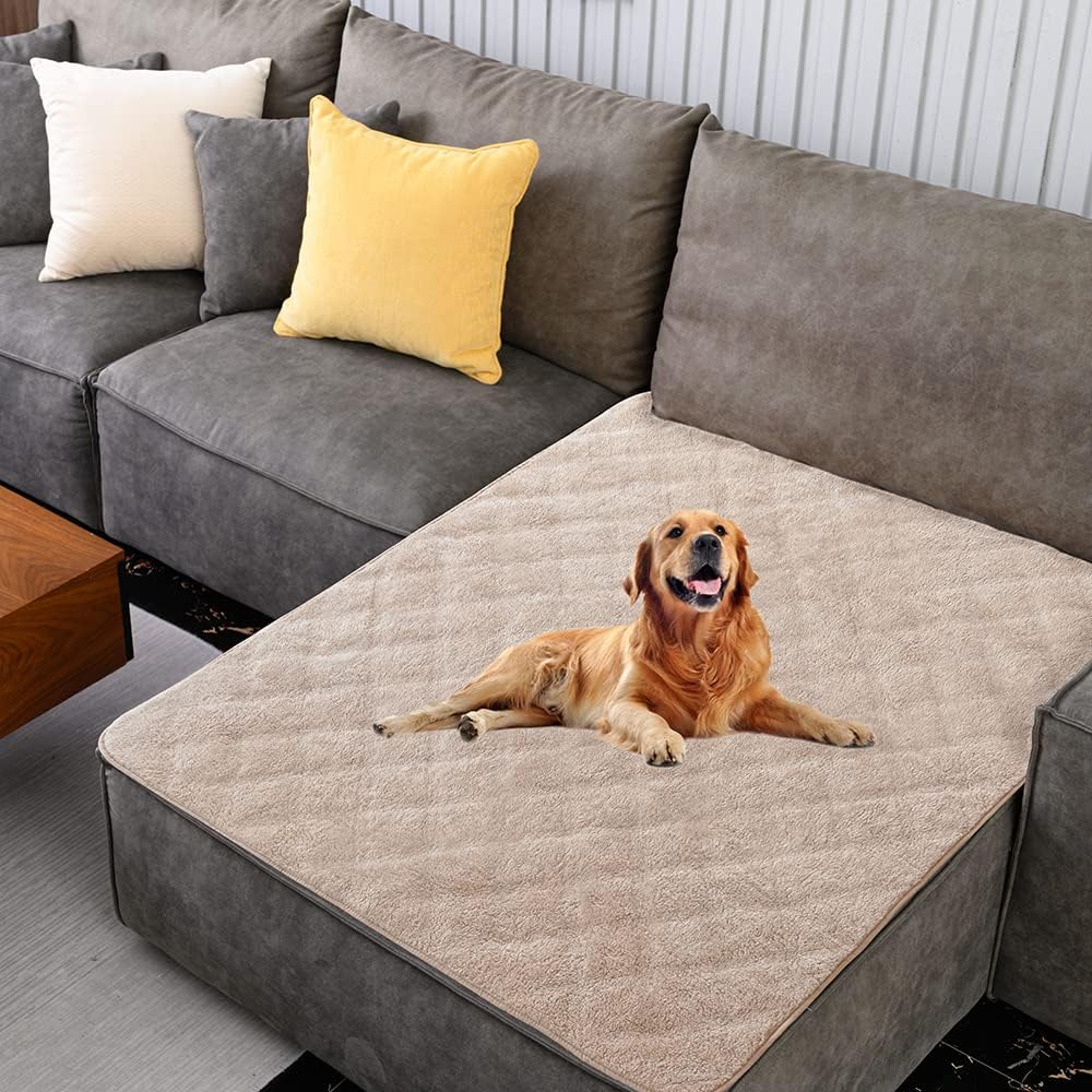 narzuta chroni fotel przed psem sierścią