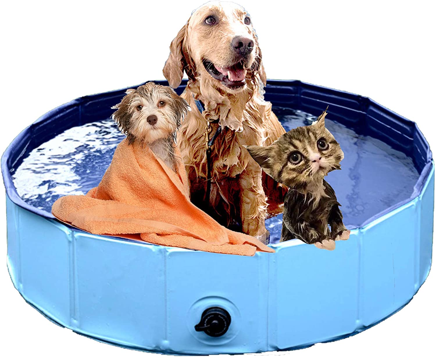 Składana wanna ułatwia higieniczną kąpiel psa w domu